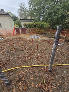 Heli Pile Foundation near Tree Roots